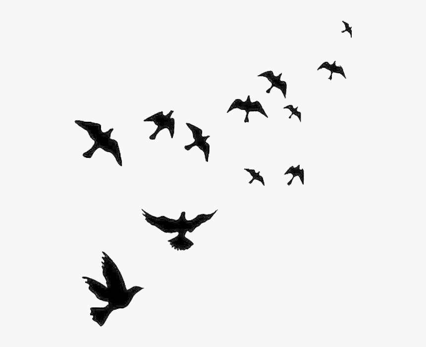682-6822619 flock-of-flying-bird-png-free-image-birds